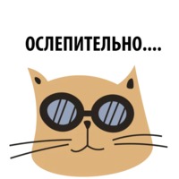 Кошка со смыслом