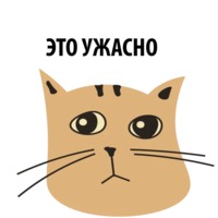 Кошка со смыслом
