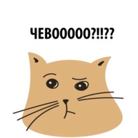 Кошка со смыслом