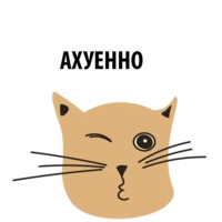 Кошка со смыслом