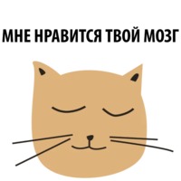 Кошка со смыслом