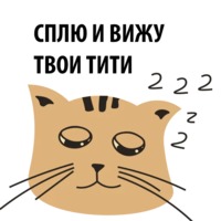 Кошка со смыслом