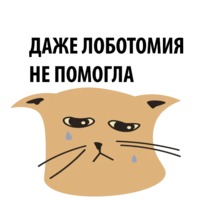 Кошка со смыслом