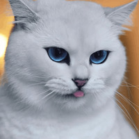 Кот Коби