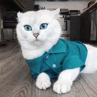 Кот Коби