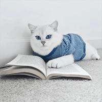Кот Коби