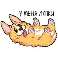 Корги Кодеры