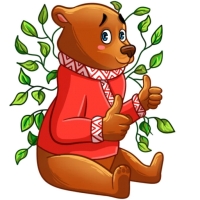 Comrade Bearski