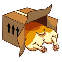 Красавец корги