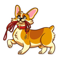 Красавец корги