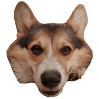 Корги Ричард