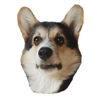 Корги Ричард