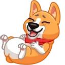 Muffin the Corgi