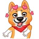 Muffin the Corgi