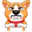 Muffin the Corgi