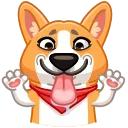 Muffin the Corgi