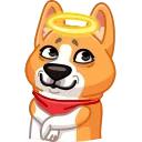 Muffin the Corgi
