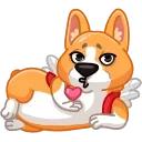 Muffin the Corgi