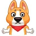 Muffin the Corgi