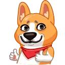 Muffin the Corgi