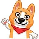 Muffin the Corgi