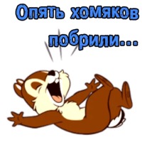 Криптовалюты