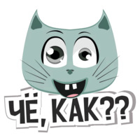 Коты