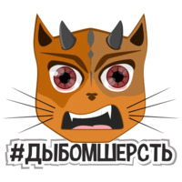 Коты