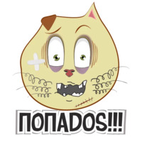 Коты