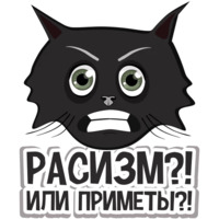 Коты