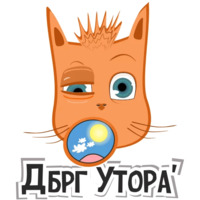 Коты
