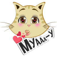 Коты