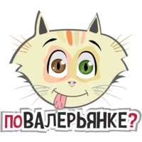 Коты