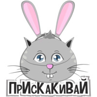 Коты