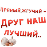Бал ВАМПИРОВ