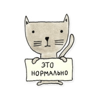 Разработчик
