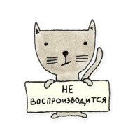 Разработчик