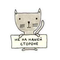 Разработчик