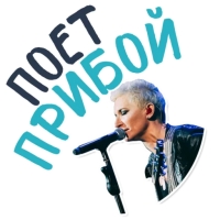 Диана Арбенина и Ночные Снайперы
