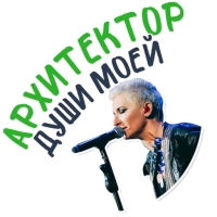 Диана Арбенина и Ночные Снайперы