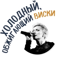 Диана Арбенина и Ночные Снайперы