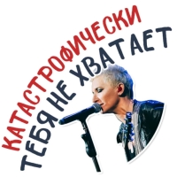 Диана Арбенина и Ночные Снайперы