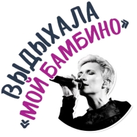 Диана Арбенина и Ночные Снайперы