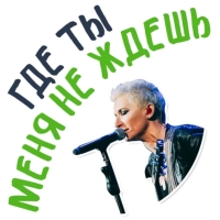 Диана Арбенина и Ночные Снайперы