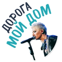 Диана Арбенина и Ночные Снайперы