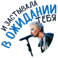Диана Арбенина и Ночные Снайперы
