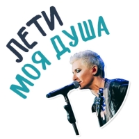 Диана Арбенина и Ночные Снайперы