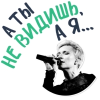 Диана Арбенина и Ночные Снайперы