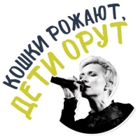 Диана Арбенина и Ночные Снайперы