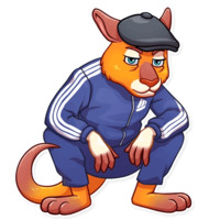 Мистер Кенгуру